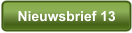 Nieuwsbrief 13