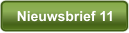 Nieuwsbrief 11