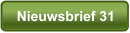 Nieuwsbrief 31