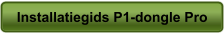 Installatiegids P1-dongle Pro