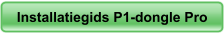 Installatiegids P1-dongle Pro